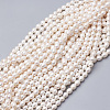 Natural Cultured Freshwater Pearl Beads Rice PEAR-Q011-02-1