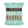 10 Skeins 6-Ply Polyester Embroidery Floss OCOR-K006-A26-1