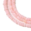Natural Freshwater Shell Beads Strands SHEL-P017-01A-09-3