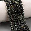 Natural Seraphinite Beads Strands G-K376-E06-4x6mm-1