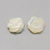 Natural White Shell Mother of Pearl Shell Cabochons SSHEL-R042-11-2