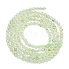 Natural Prehnite Beads Strands G-C255-B03-2mm-3