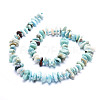Natural Larimar Beads Strands G-E569-J23-2