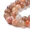 Natural Botswana Agate Beads Strands G-G925-01B-4