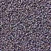 MIYUKI Delica Beads X-SEED-J020-DB1067-3