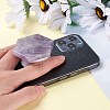 Hexagon Amethyst Crystal Phone Expanding Stand Finger Holder G-P450-05C-3