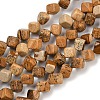 Natural Picture Jasper Beads Strands G-A257-A21-01-1