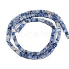 Natural Blue Spot Jasper  Beads Strands G-B129-A10-01-3