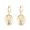 Clear Cubic Zirconia Oval Dangle Leverback Earrings EJEW-N012-89-2