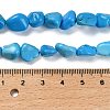 Natural Howlite Beads Strands G-P497-01E-37-5