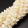 Natural Trochid Shell/Trochus Shell Beads Strands SSHEL-K011-02-1