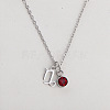 304 Stainless Steel Light Siam Rhinestone Birth Stone Constellation Pendant Necklaces FS-WG76580-13-1