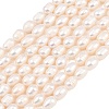 Natural Cultured Freshwater Pearl Beads Strands PEAR-D003-01D-06-2