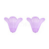 Frosted Acrylic Beads PL692-5-2