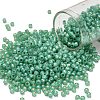 TOHO 8/0 Round Beads X-SEED-TR08-2119-1