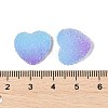 Imitation Candy Food Style Resin Cabochons RESI-R461-01J-3