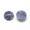 Natural Blue Spot Jasper Cabochons X-G-R416-8mm-45-2