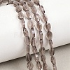 Natural Smoky Quartz Beads Strands G-A303-A04-01-1
