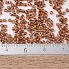 MIYUKI Delica Beads SEED-X0054-DB1736-4