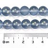 Frosted Transparent Glass Bead Strands GLAA-P065-10mm-10-3