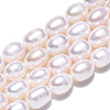 Natural Cultured Freshwater Pearl Beads Strands PEAR-N012-08J-4