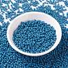 MIYUKI Round Rocailles Beads SEED-G008-RR4485-2