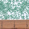 MIYUKI Delica Beads X-SEED-J020-DB1182-2