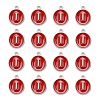 Platinum Plated Alloy Enamel Charms X-ENAM-S118-03I-P-2