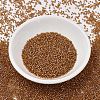 MIYUKI Delica Beads SEED-J020-DB1734-2