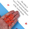 Transparent Acrylic Beads MACR-S373-95-B06-3
