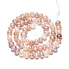 Natural Cultured Freshwater Pearl Beads Strands PEAR-N013-05C-03-3