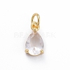 Brass Micro Pave Cubic Zirconia Pendants ZIRC-E164-64G-D-1