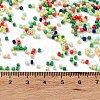 Baking Paint Glass Seed Beads X-SEED-S042-05B-51-4