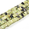 Natural Serpentine Beads Strands G-T140-50-4