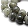 Natural Labradorite Bead Strands G-P256-01-12mm-3