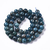 Natural Apatite Beads Strands G-R462-050C-AB-2