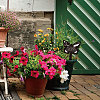 Acrylic Garden Stake AJEW-WH0364-012-7