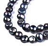 Natural Cultured Freshwater Pearl Beads Strands X-PEAR-R064-21-5