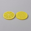 Fruit Theme Plastic Cabochons KY-WH0004-22B-2