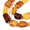 Natural Amber Beads Strands G-N371-23A-01-4