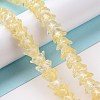 Transparent Glass Beads Strands LAMP-H061-01C-06-2