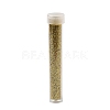 Plastic Glitter Powder Fillers LS-AJEW-H144-01A-2