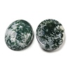 Natural Tree Agate Cabochons G-M430-01-2