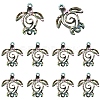 10Pcs Natural Paua Shell Connector Charms SHEL-YW0001-16-1