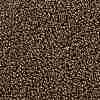 MIYUKI Round Rocailles Beads X-SEED-G008-RR0457-3