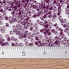 MIYUKI Delica Beads SEED-MY11-DB2389-4