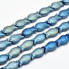 Full Plated Frosted Electroplate Glass Fish Beads Strands X-EGLA-M001-B01-1
