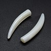 Shell Beads SSHEL-G020-03B-01-2