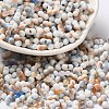 Two Tone Baking Paint Glass Seed Beads SEED-F005-01A-07-1