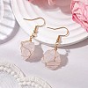 Natural Mixed Gemstone & 304 Stainless Steel Dangle Earrings for Women EJEW-JE06237-3